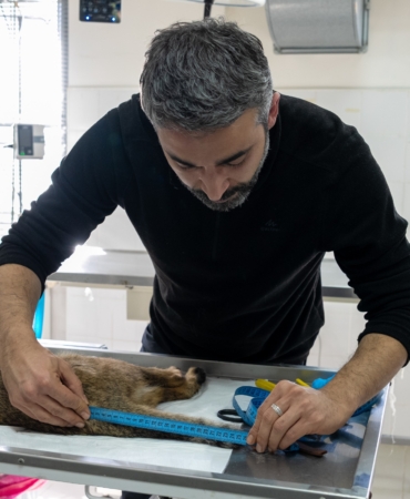 23.02.2026_85e7ebc6-05d9-4f0e-8fdb-616a3be909dc