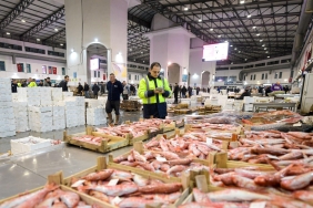 5.02.2026_04898bc5-b3ee-4669-9150-ea9200b6e379