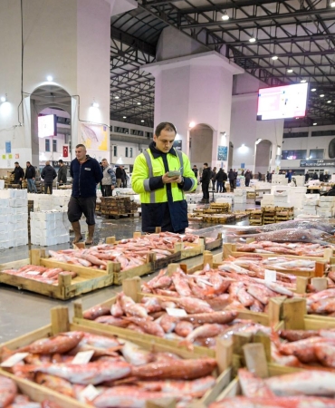 5.02.2026_04898bc5-b3ee-4669-9150-ea9200b6e379