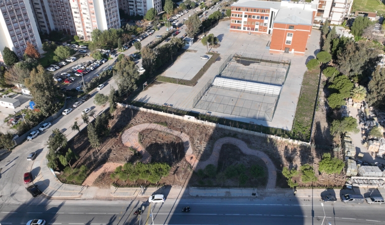 Betonun arasından orman çıktı