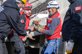 9.02.2026_efc971c4-6ac0-4425-971f-b0bc5a431054