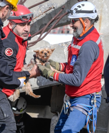 9.02.2026_efc971c4-6ac0-4425-971f-b0bc5a431054