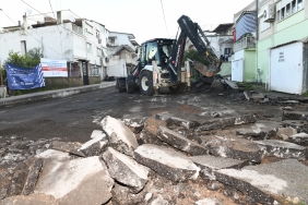 95f0624f-d53d-43e1-b4f0-bad6fbdf8e16.jfif