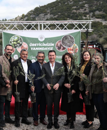 Ekran görüntüsü 2026-02-20 164444