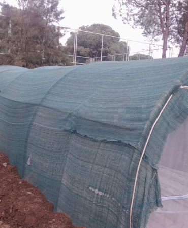 İklim Değişikliği ve Sıfır Atık Müdürlüğü Sera Alanı