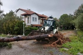 Screenshot_20260204_104044