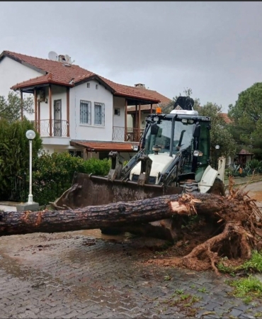 Screenshot_20260204_104044