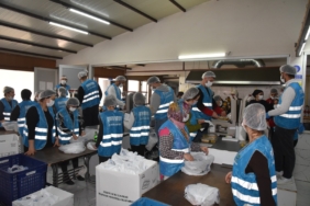 WhatsApp Image 2026-02-26 at 12.06.24 (4)