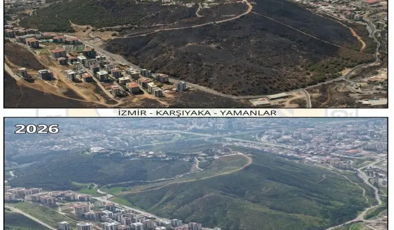 Yamanlar Dağı yangın yaralarını sarıyor: Yeşil doku geri dönüyor!