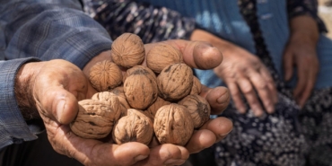 13.03.2026_50ba46b3-4834-4fd3-b4ed-262a4651dda3