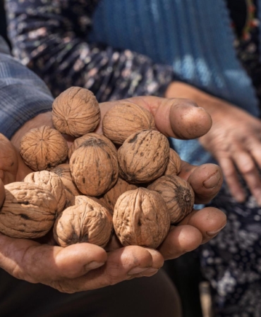 13.03.2026_50ba46b3-4834-4fd3-b4ed-262a4651dda3