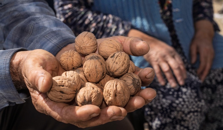 13.03.2026_50ba46b3-4834-4fd3-b4ed-262a4651dda3