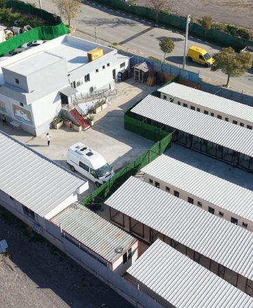 Bayraklı’daki Hayvan Bakımevinde Kapsamlı Yenileme (1)