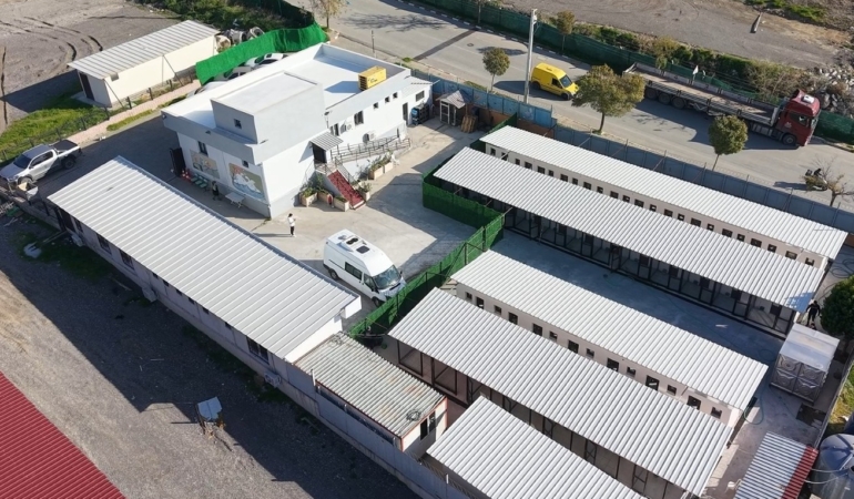 Bayraklı’daki Hayvan Bakımevinde Kapsamlı Yenileme (1)