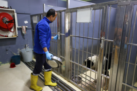 Buca_Veteriner_Temizlik1