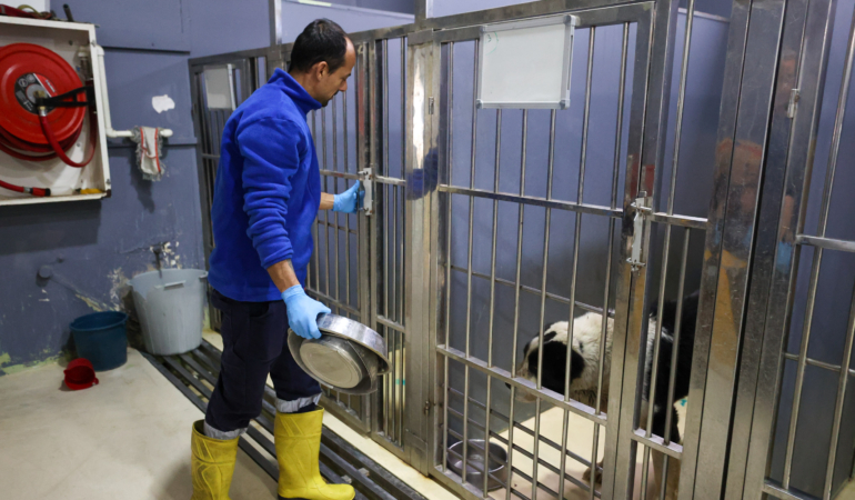 Buca_Veteriner_Temizlik1