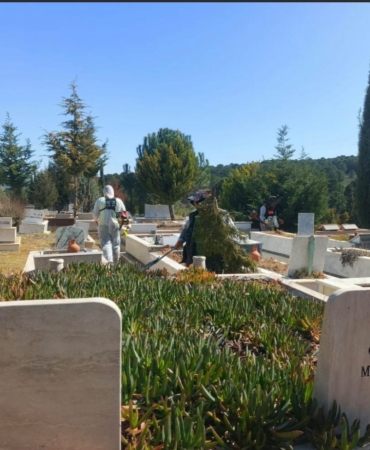 Screenshot_20260317_100830