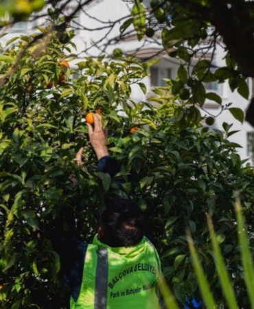 Screenshot_20260325_093737