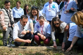 Screenshot_20260326_094808