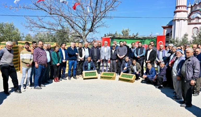 Screenshot_20260327_175517