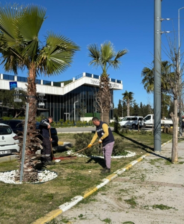 WhatsApp Image 2026-03-25 at 11.32.49