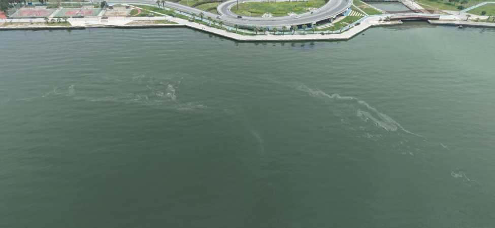 14.04.2026_81292e6d-f082-4c0b-9fb5-f57c270ea707