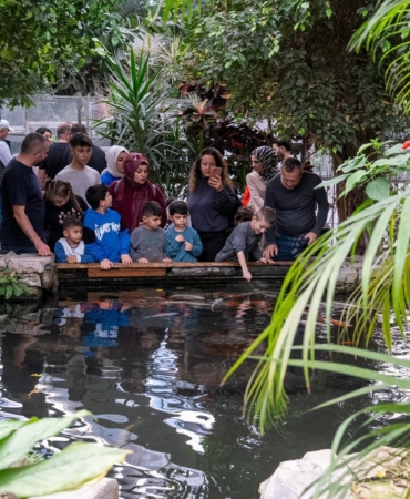 15.04.2026_fdd3e17b-4767-4498-92ac-5bb881d72a96