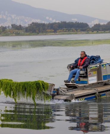 22.04.2026_c6f82cab-2dd3-4f76-be6e-01e390d3ef14