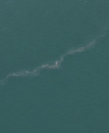 24.04.2026_893e823a-8b7e-419d-9fe0-58aa31bafb46