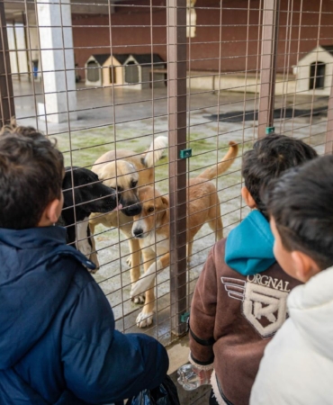 4.04.2026_a9399e04-10ee-4cce-a839-895f74f0e2c1