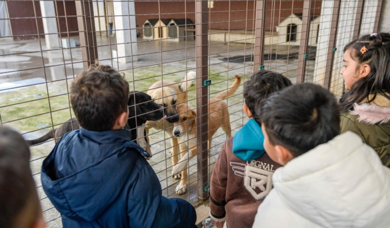 4.04.2026_a9399e04-10ee-4cce-a839-895f74f0e2c1