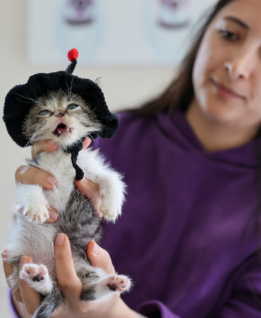 Buca Belediyesi ‘Zero’ için seferber oldu6