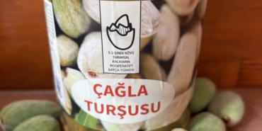 Datça’da Çağla Turşusu Bereketi (2)