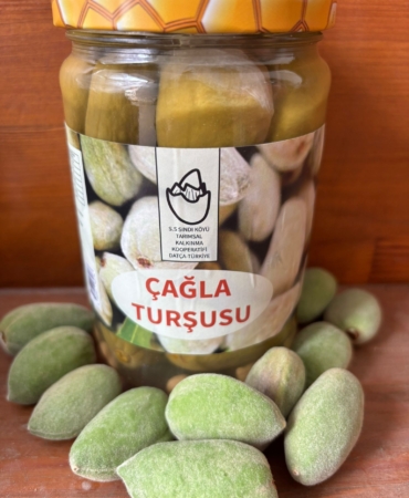 Datça’da Çağla Turşusu Bereketi (2)
