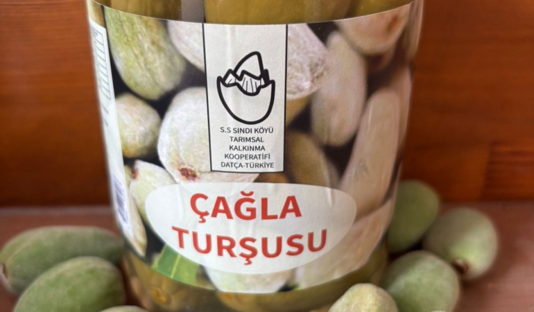 Datça’da Çağla Turşusu Bereketi (2)