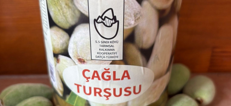 Datça’da Çağla Turşusu Bereketi (2)