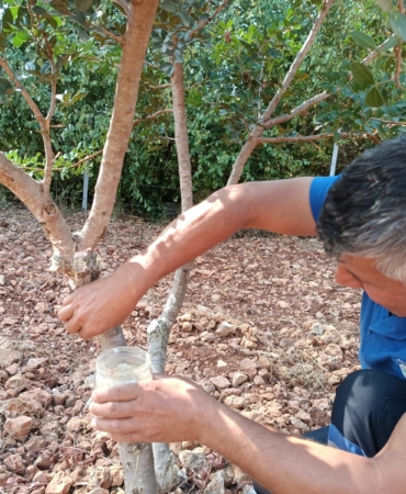 Kırsalda Üretim ve Dayanışma Büyüyor (7)