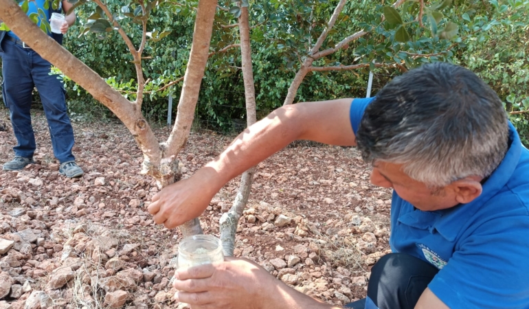 Kırsalda Üretim ve Dayanışma Büyüyor (7)