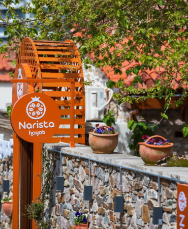 Narista Hayat Yukarıköy (4)