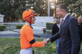 Screenshot_20260407_104654