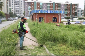 Screenshot_20260425_094520