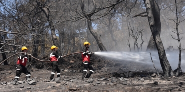 WhatsApp Image 2026-04-13 at 12.05.42