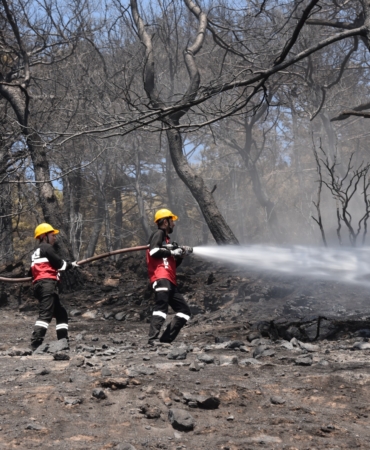 WhatsApp Image 2026-04-13 at 12.05.42