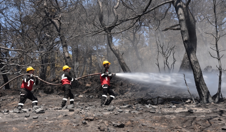 WhatsApp Image 2026-04-13 at 12.05.42