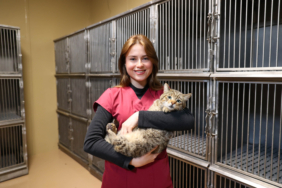 buca_sokak_hayvanları_günü (4)