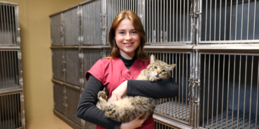 buca_sokak_hayvanları_günü (4)