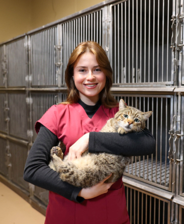 buca_sokak_hayvanları_günü (4)