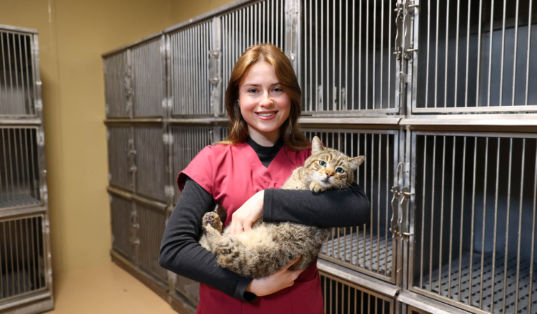 buca_sokak_hayvanları_günü (4)