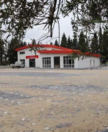 01 (17)