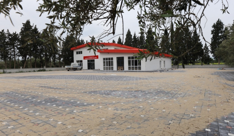 01 (17)